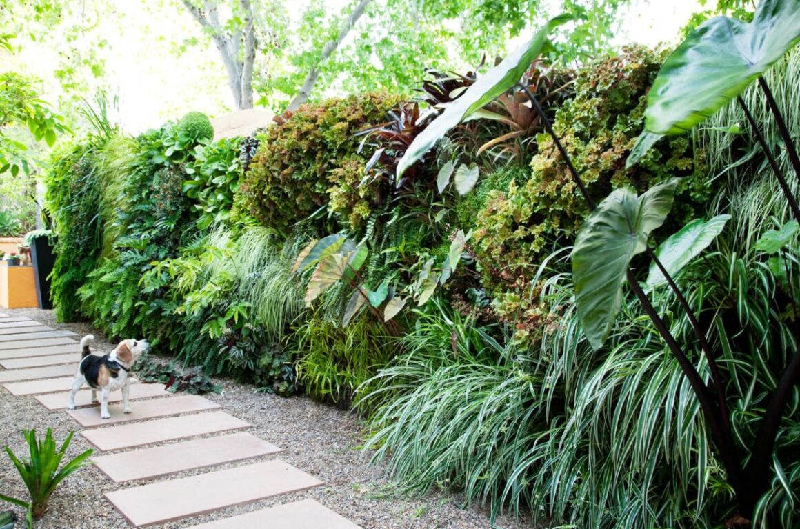 Vertical Gardens and Green Walls for backyard